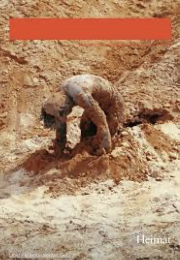 Cover of KUNSTFORUM International Heimat