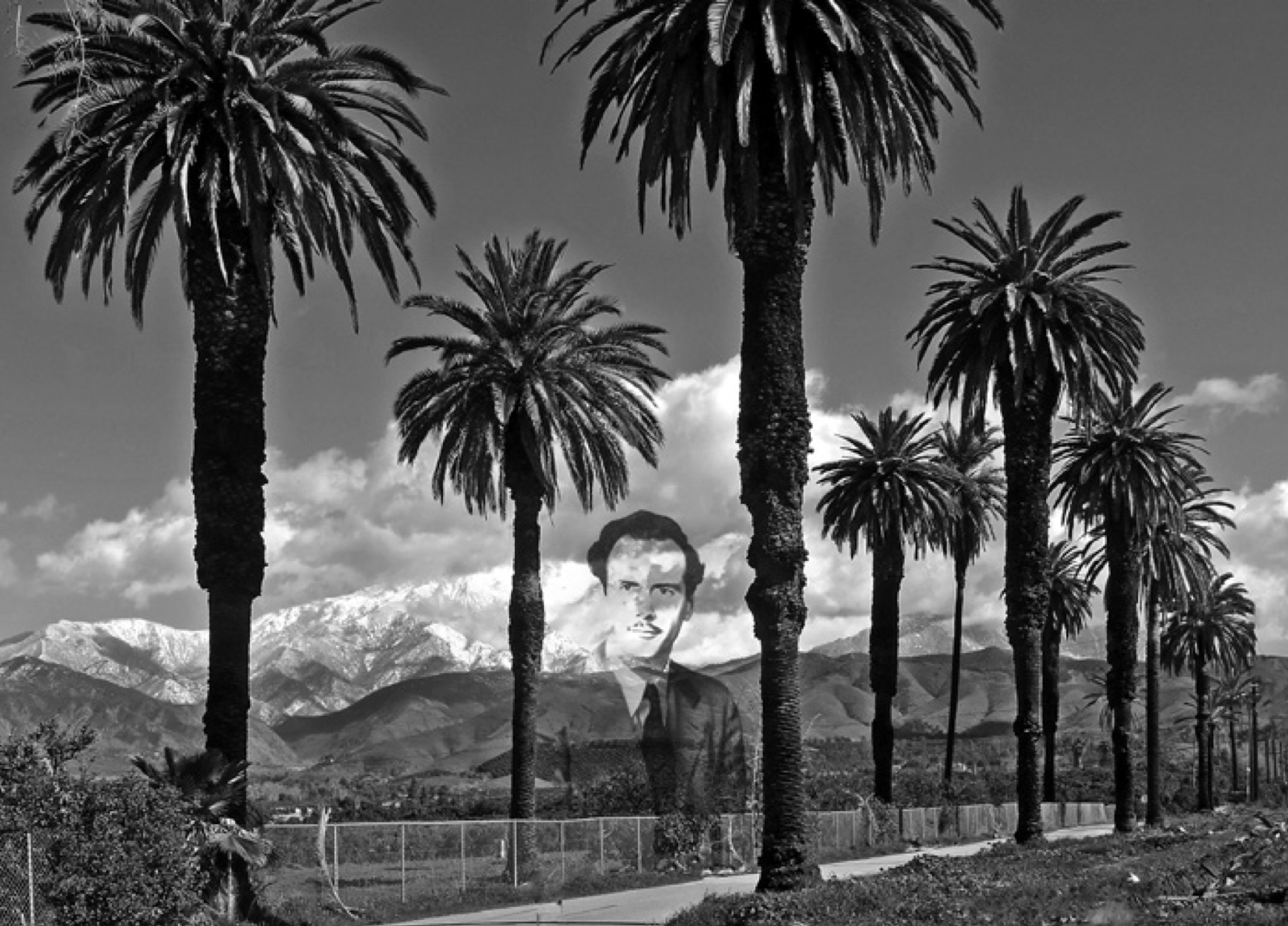 Cover of McLuhan unter Palmen